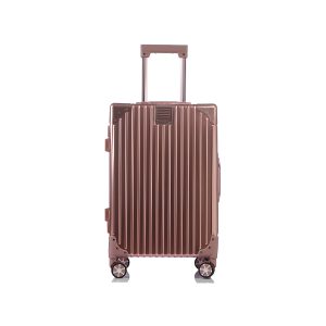 Valija New York City Carry On Cabina Rosa Plateado